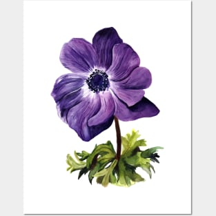 Anemone Posters and Art